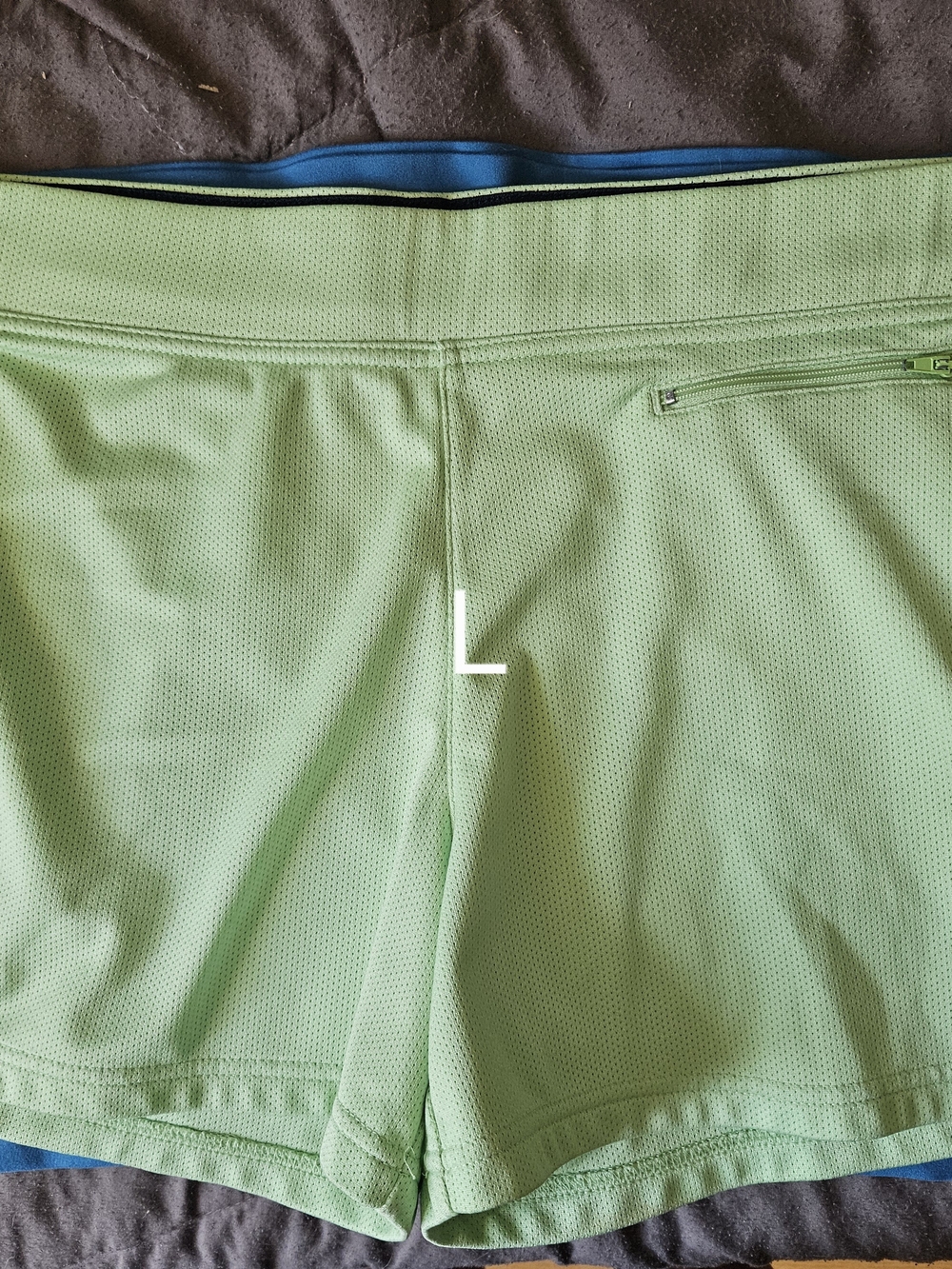 Reebok Light Green Athletic Shorts
